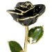 Image Thumbnail of: 24k Gold Trimmed Rose: 11" Black Rose