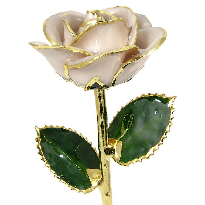  Flower Bloom rose gift bundal