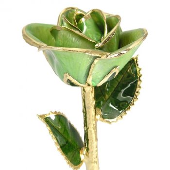 24k Gold Trimmed Rose: 11" Light Green Rose