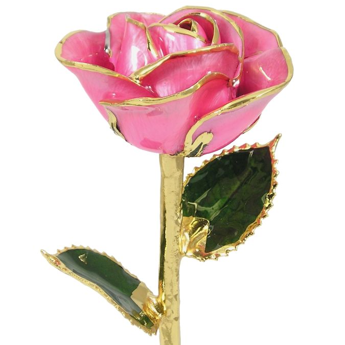  Flower Bloom rose gift bundal