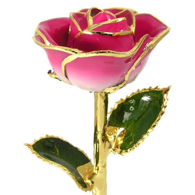  Flower Bloom rose gift bundal