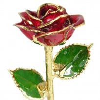24k Gold Trimmed Rose: 11" Red Rose