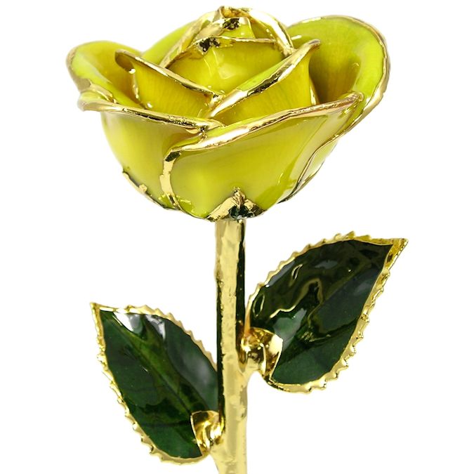 Flower Bloom rose gift bundal