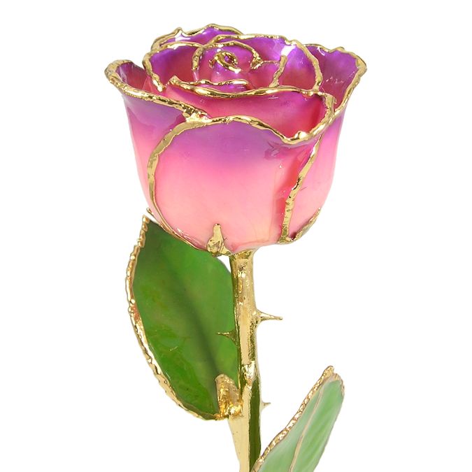  Flower Bloom rose gift bundal