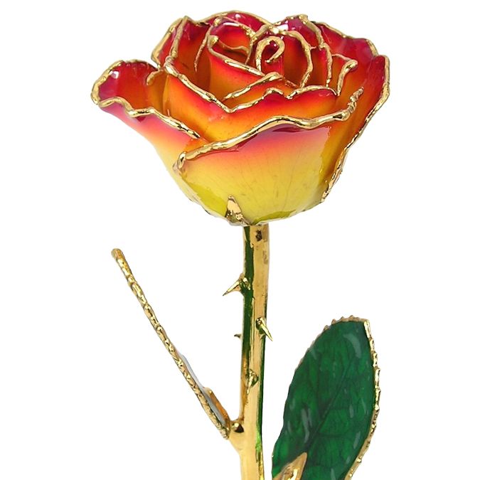  Flower Bloom rose gift bundal