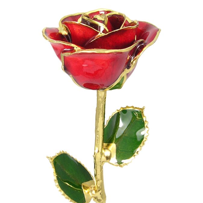  Flower Bloom rose gift bundal