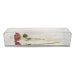 Image Thumbnail of: 24k Gold Trimmed Rose in Museum Case