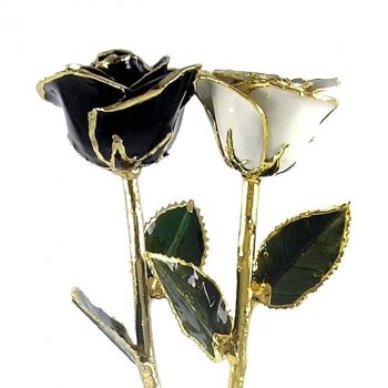 His and Her Black and White Preserved Roses