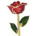 Image Thumbnail of: 11" Personalized I Love You Rose