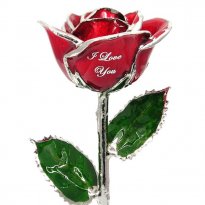 11" Personalized I Love You Rose