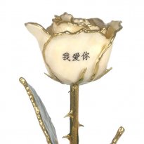 Personalized I Love You Rose In Different Languages