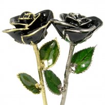 Over The Hill 40th Birthday Gift: Black Preserved Rose
