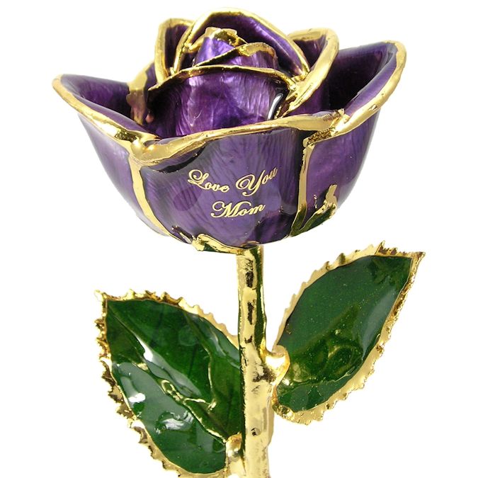  Flower Bloom rose gift bundal