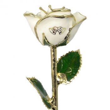 Wedding Bells Rose Personalized Anniversary Gift: 11in