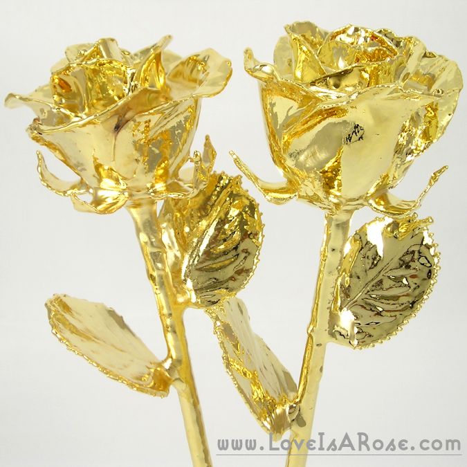 50th anniversary gift 11 24k dipped roses vase love is a rose