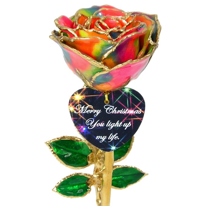  Flower Bloom rose gift bundal