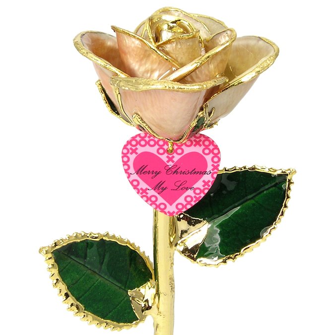  Flower Bloom rose gift bundal