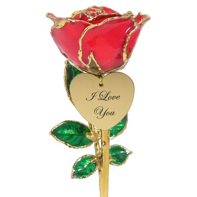  Flower Bloom rose gift bundal