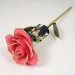 Image Thumbnail of: Personalized Graduation Photo Rose