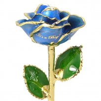 It's a Boy Preserved Blue Rose Gift