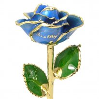 11" Personalized It's a Boy Light Blue Rose