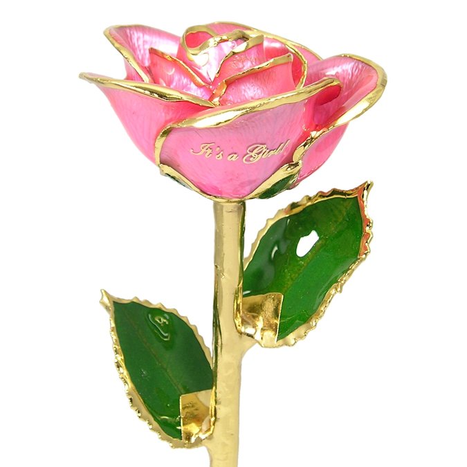  Flower Bloom rose gift bundal