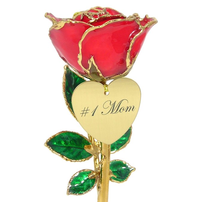  Flower Bloom rose gift bundal