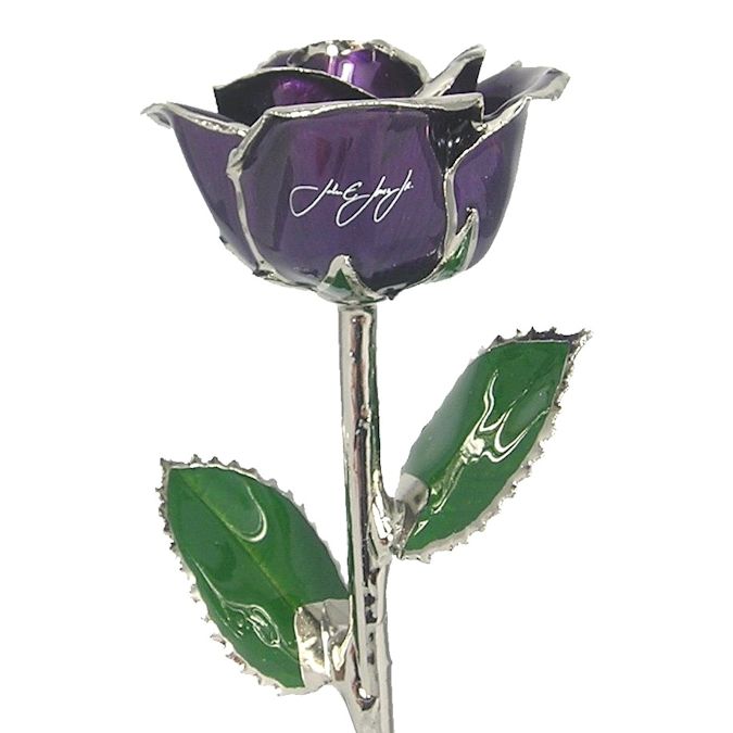  Flower Bloom rose gift bundal