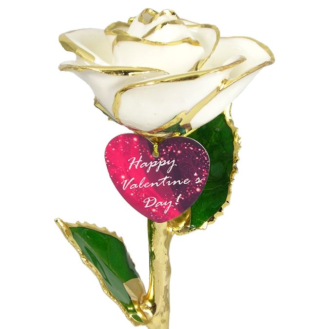  Flower Bloom rose gift bundal