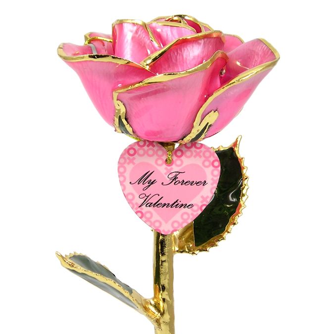  Flower Bloom rose gift bundal