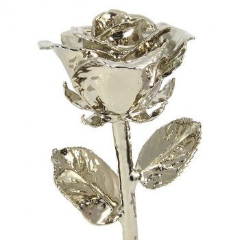17" Platinum Dipped Rose