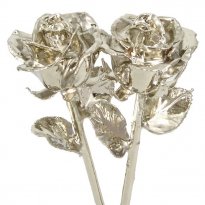 His and Her 11" Platinum Roses