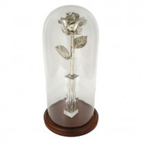 Enchanted 20th Anniversary 11" Platinum Rose