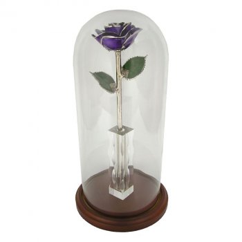 11" Platinum Trimmed Enchanted Rose