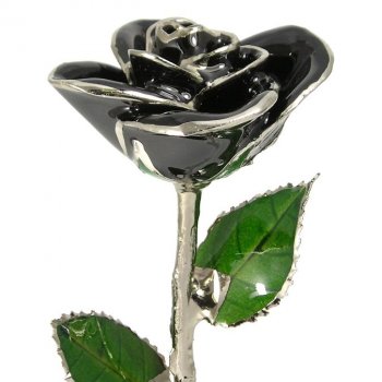 Platinum Trimmed Rose: 11" Black Rose