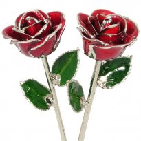 His and Her 11" Platinum Trimmed Roses