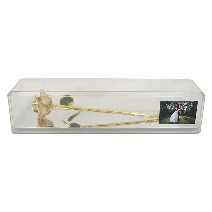  Flower Bloom rose gift bundal