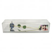 True Blue Friend Rose in Case with Engraved Photo