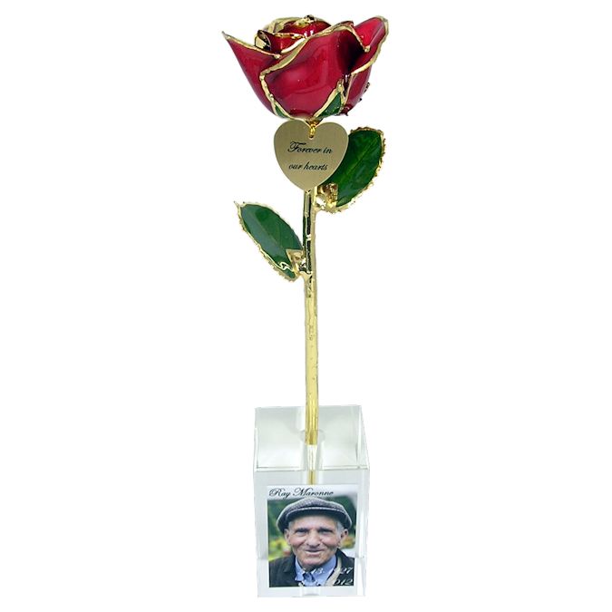  Flower Bloom rose gift bundal