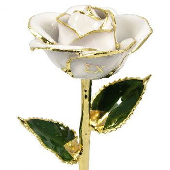 11" Personalized Sigma Chi Greek Letters Rose Gift