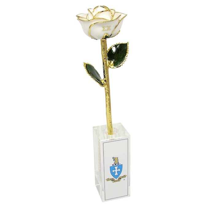  Flower Bloom rose gift bundal