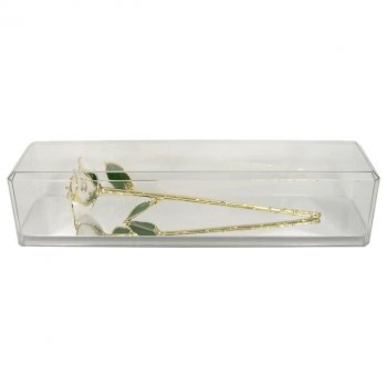 Personalized Sigma Chi Gold Rose Gift in Museum Case