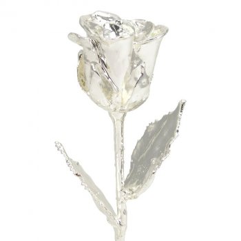 8" Silver Dipped Rose
