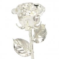 11" Silver Dipped Rose