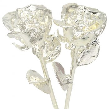 His and Her 11" All Silver Roses