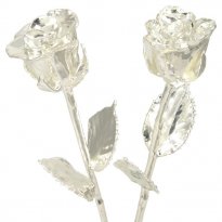 His and Her 14" Silver Dipped Roses