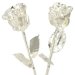 Image Thumbnail of: His and Her 14" Silver Dipped Roses