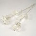 Image Thumbnail of: His and Her 14" Silver Dipped Roses