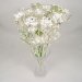 Image Thumbnail of: Silver Dipped Roses: 1 Dozen 14" Rose Bouquet