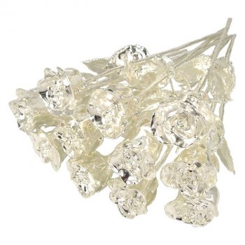 Silver Dipped Roses: 1 Dozen 14" Rose Bouquet